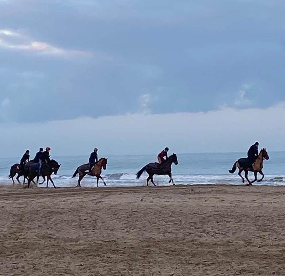 L'Escale A Deauville Ngoại thất bức ảnh