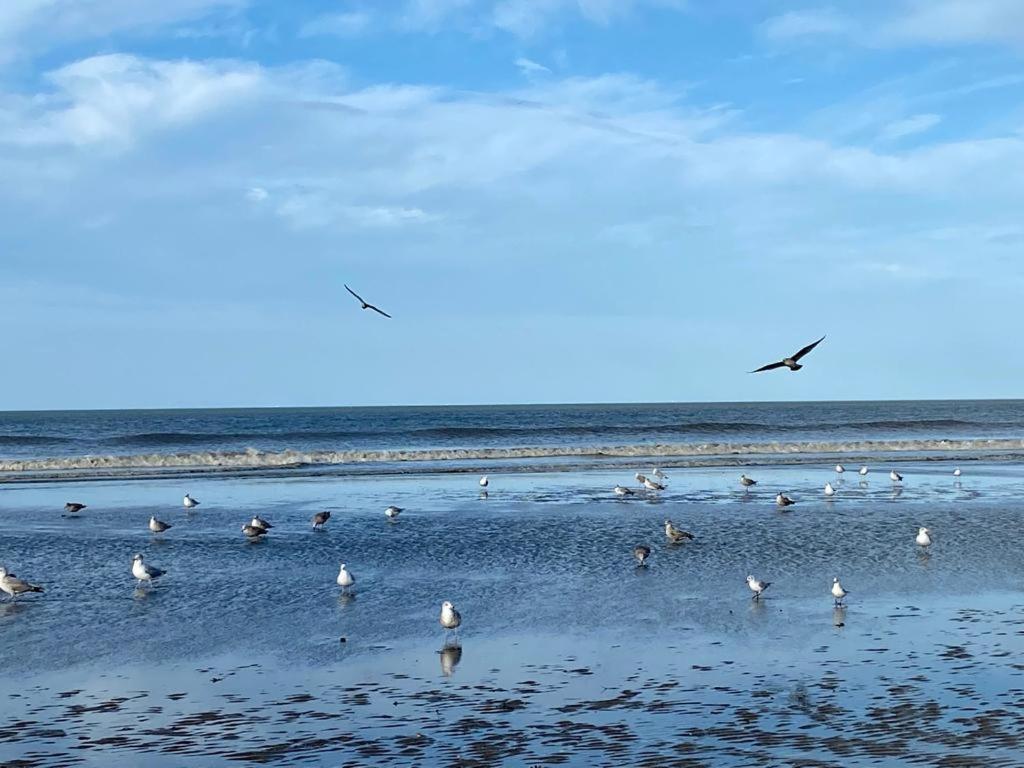L'Escale A Deauville Ngoại thất bức ảnh